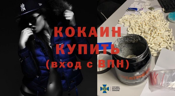 стаф Абаза