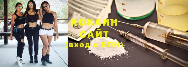 стаф Абаза