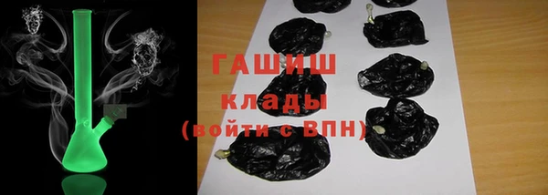 стаф Абаза