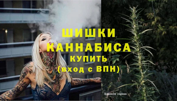 стаф Абаза