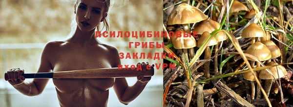 jwh Россошь