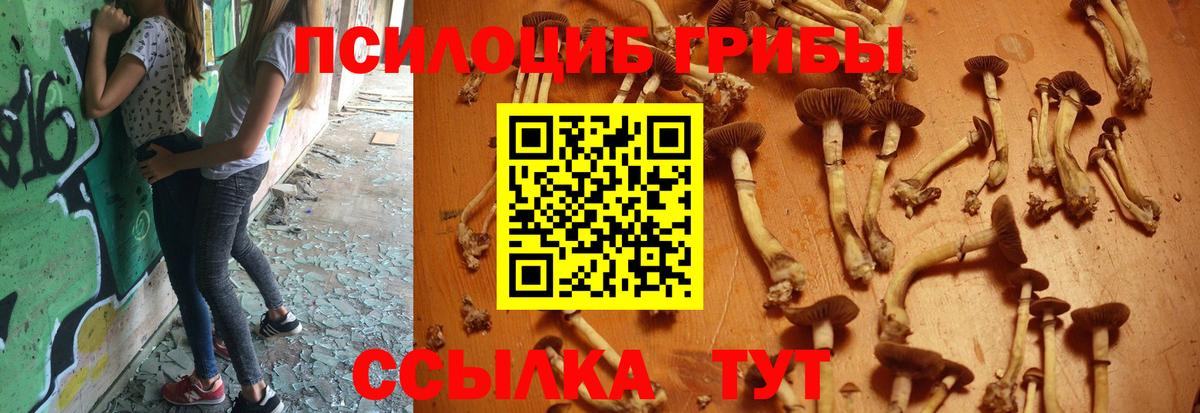 цены наркотик  Псилоцибиновые грибы мухоморы  Псилоцибиновые грибы мицелий  Вход с VPN  Каменск-Шахтинский 