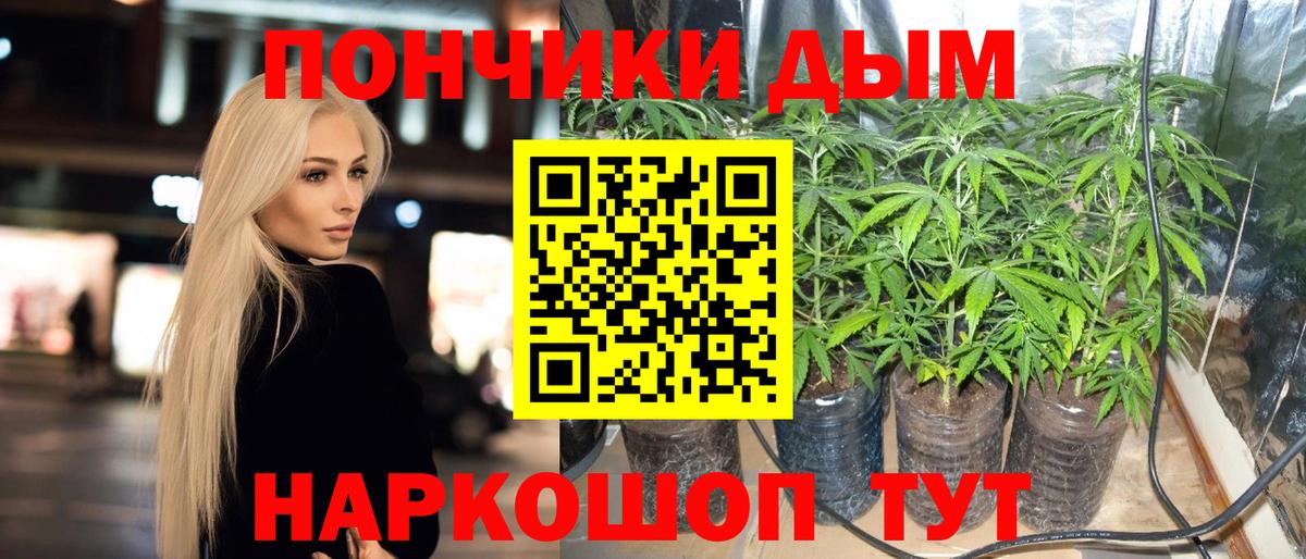 Бошки Шишки LSD WEED Каменск-Шахтинский